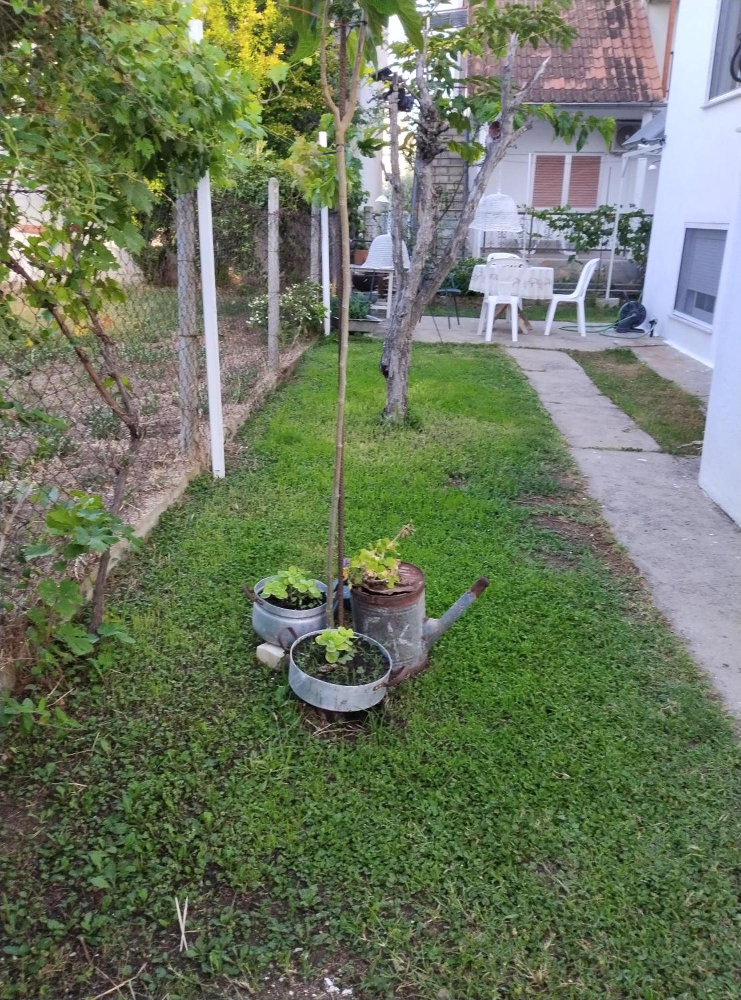 Θαλασσινή Αυρα Villa Nea Vrasna Bagian luar foto