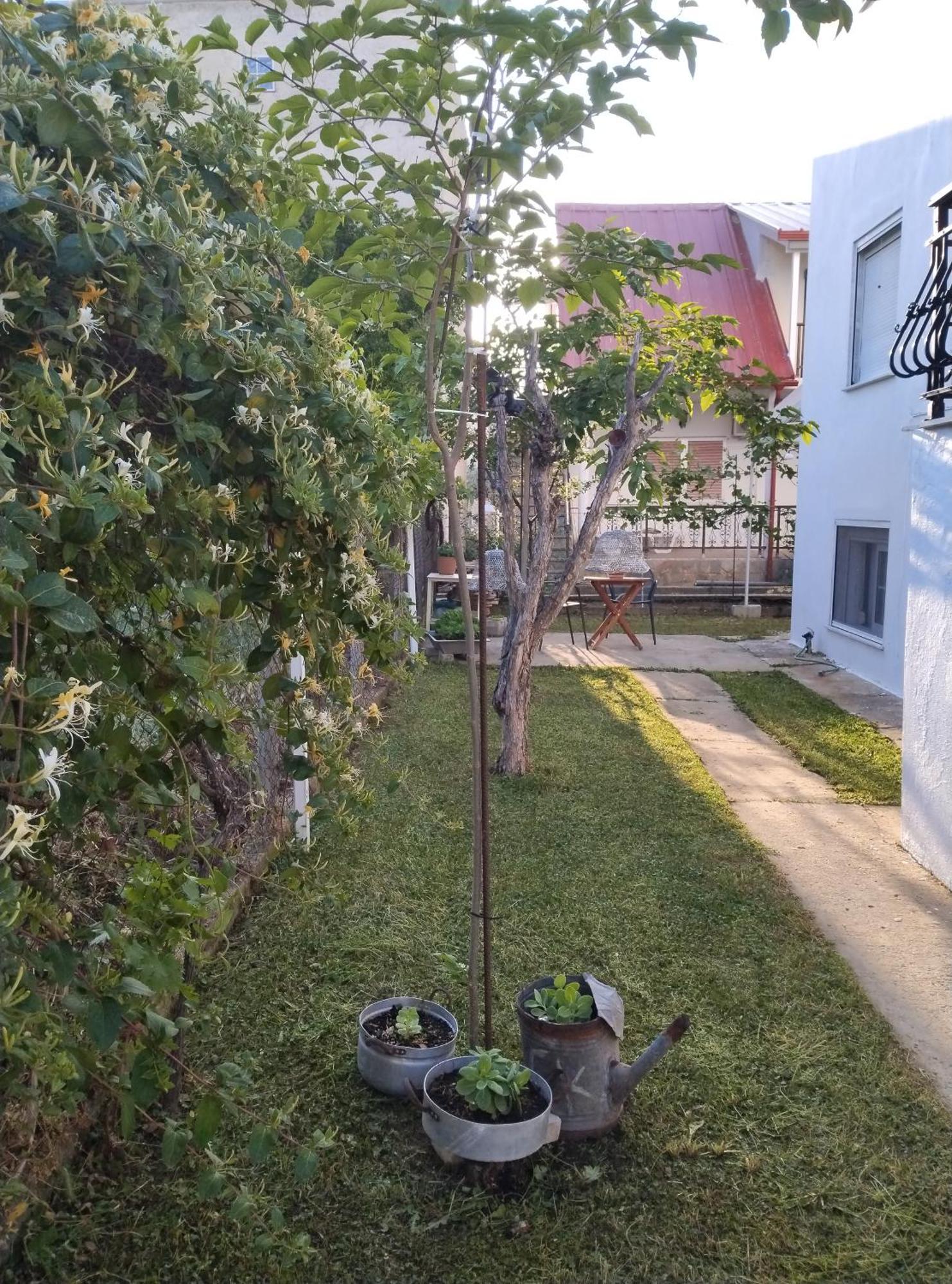 Θαλασσινή Αυρα Villa Nea Vrasna Bagian luar foto